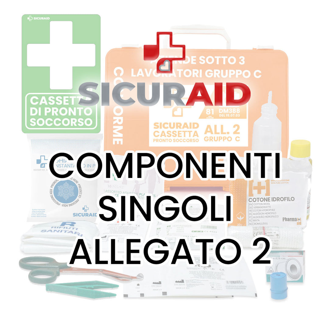 Componenti Singoli – Allegato 2